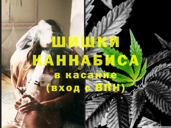 бошки Бородино