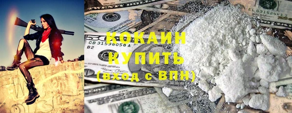 бошки Бородино
