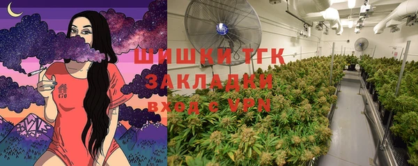 бошки Бородино