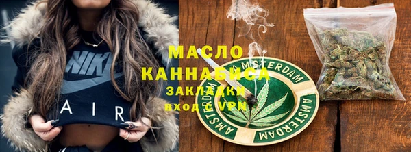 индика Няндома