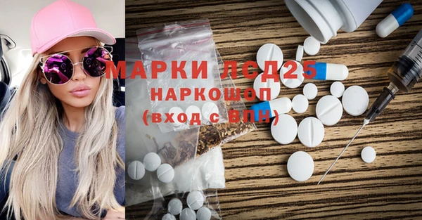 бошки Бородино