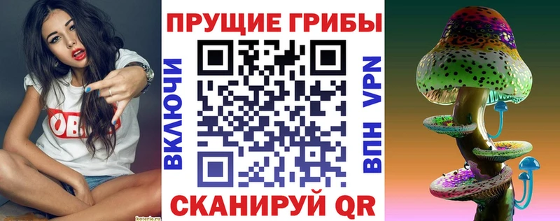 Псилоцибиновые грибы ЛСД  Кремёнки 